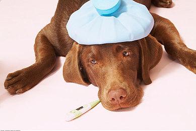 调查发现大部分游戏开发者对NFT没兴趣